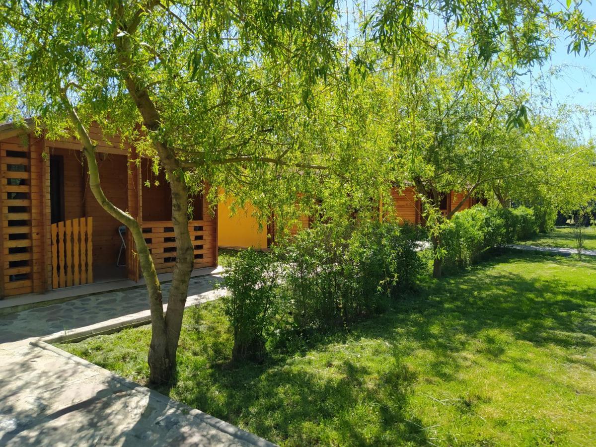 Villa Hanul Arcasului Voila Exterior foto