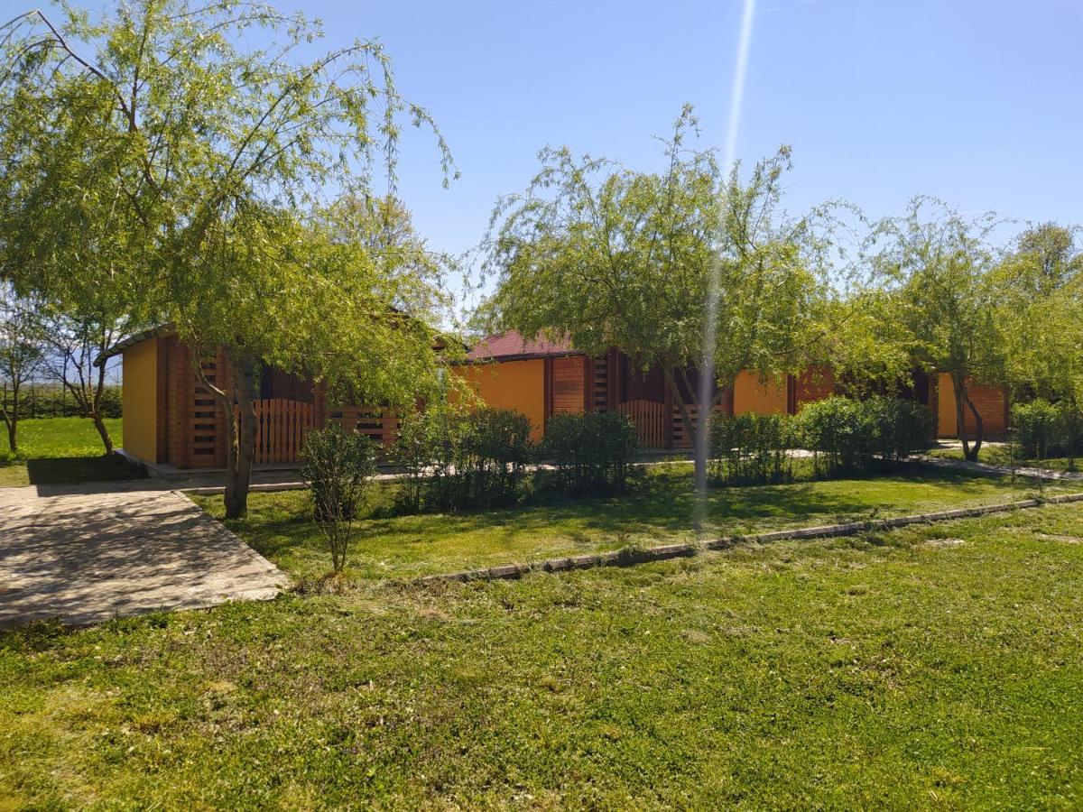 Villa Hanul Arcasului Voila Exterior foto